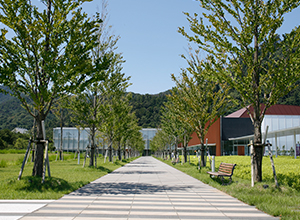 Shimane Museum of Ancient Izumo